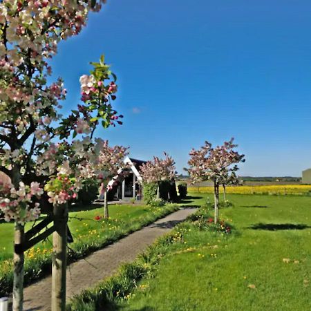 Hotelhuisje Warmenhuizen #D Esterno foto
